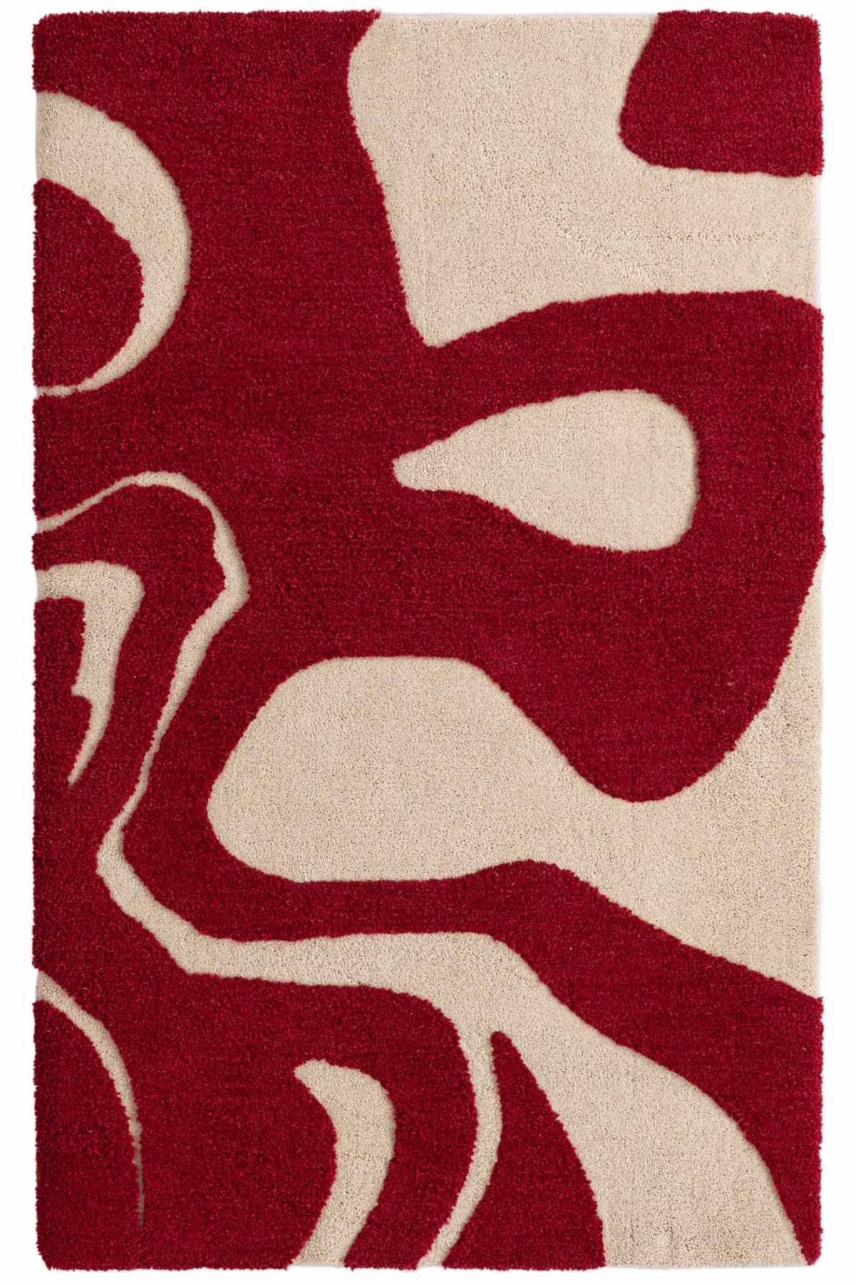 Angorahome Cielo Robotuft Yün Halı RT1008 240 x 305 Dikdörtgen - 6