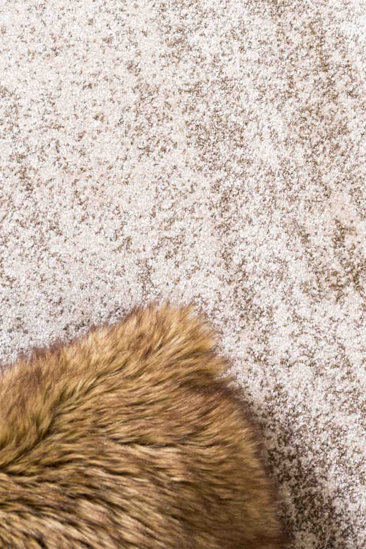 Angorahome Tria Koleksiyonu Dokuma Makine Halısı TA1003 210 x 300 Dikdörtgen - 4